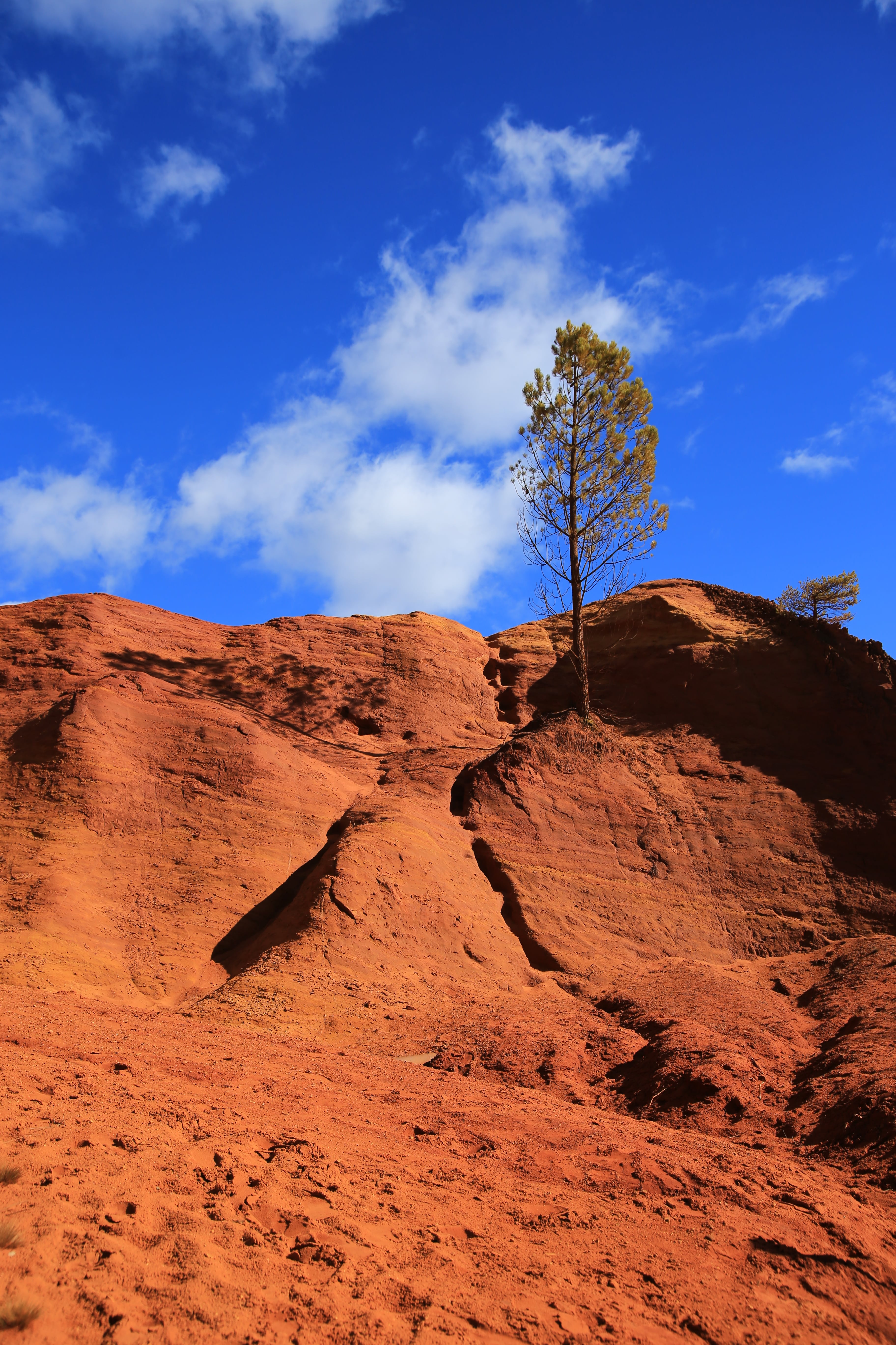 Le colorado provençale